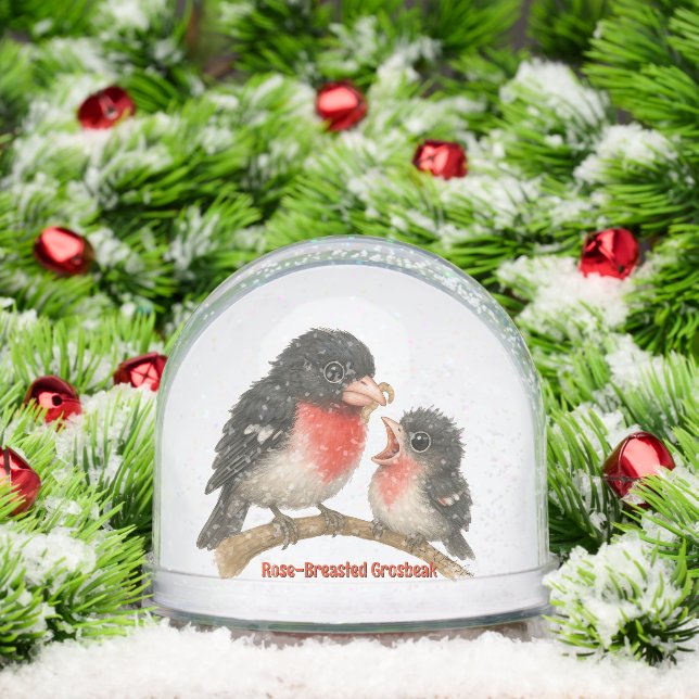 Stunning Rose Breasted Grosbeak Snow Globe (Christmas)