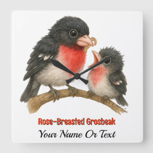 Stunning Rose Breasted Grosbeak Square Wall Clock