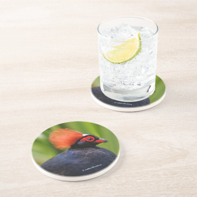 Stunning Roul-Roul Crested Wood Partridge Bird Coaster (Side)