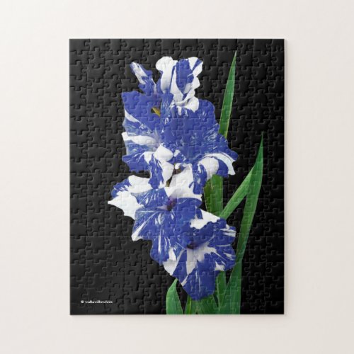 Stunning Royal Blue  White Gladiolus Sword Lilies Jigsaw Puzzle