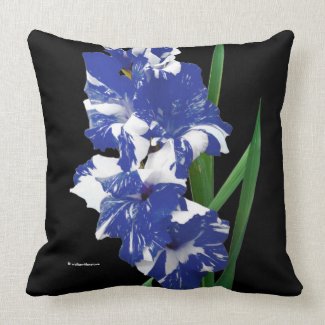 Stunning Royal Blue & White Gladiolus Sword Lilies Throw Pillow