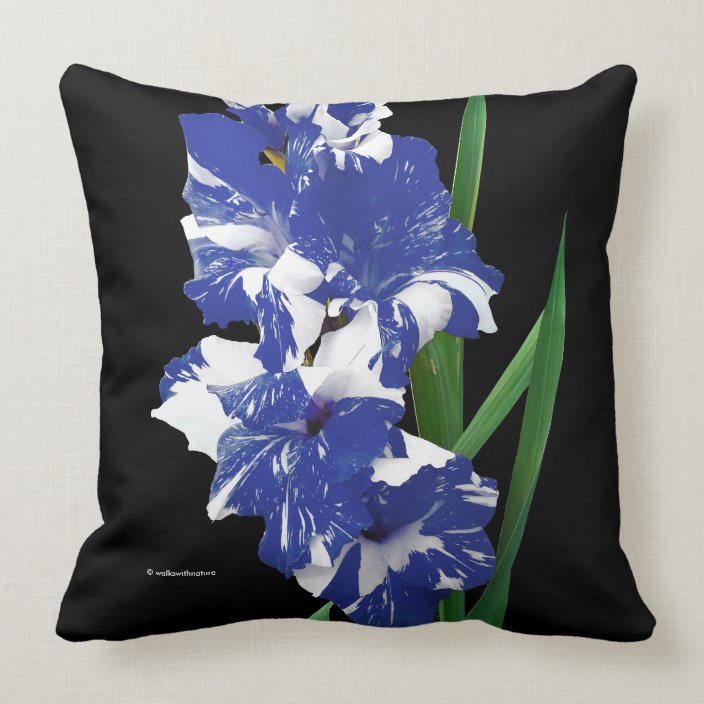 Stunning Royal Blue White Gladiolus Sword Lilies Throw Pillow Zazzle Com