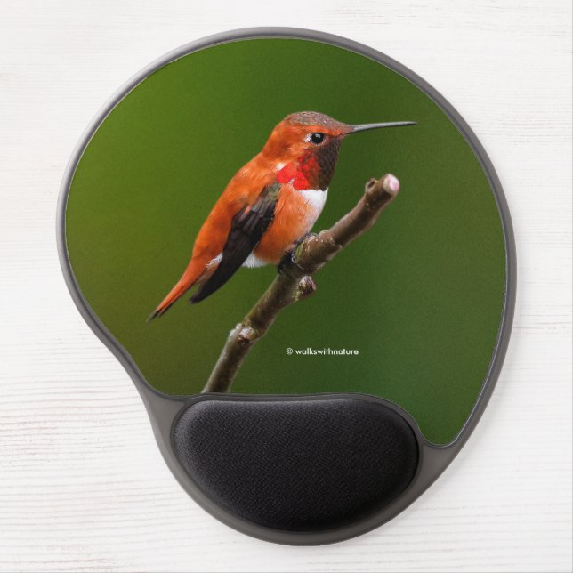 Stunning Rufous Hummingbird on the Cherry Tree Gel Mouse Pad (Front)