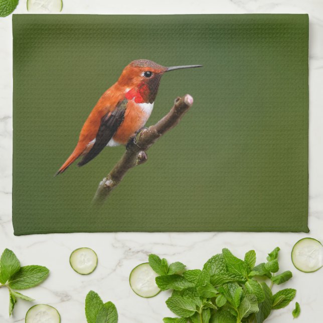 Stunning Rufous Hummingbird on the Cherry Tree Kitchen Towel (Folded)