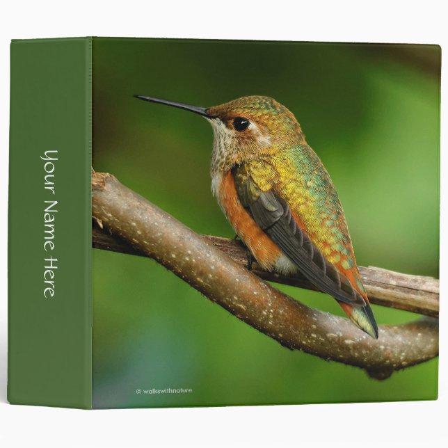 Stunning Rufous Hummingbird on Twining Vines Binder (Front/Spine)
