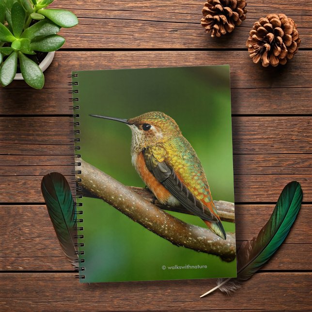 Stunning Rufous Hummingbird on Twining Vines Notebook (Stunning Rufous Hummingbird on Twining Vines Journal Cover Photo)