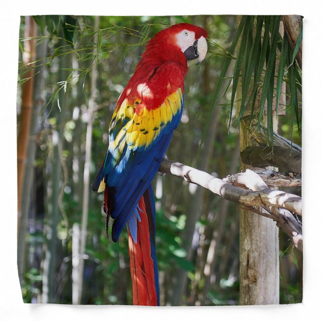 Stunning Scarlet Macaw Parrot Bandana (Front)