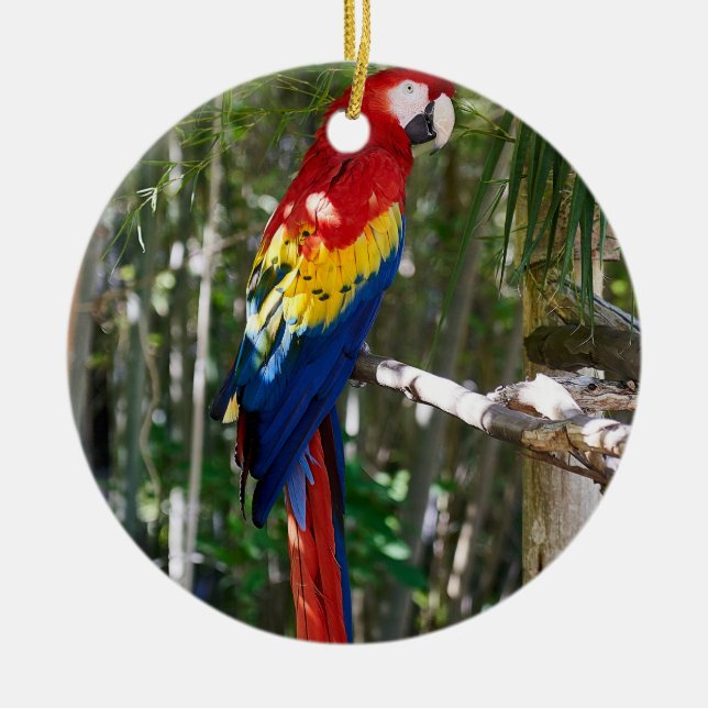 Stunning Scarlet Macaw Parrot Ceramic Ornament (Front)