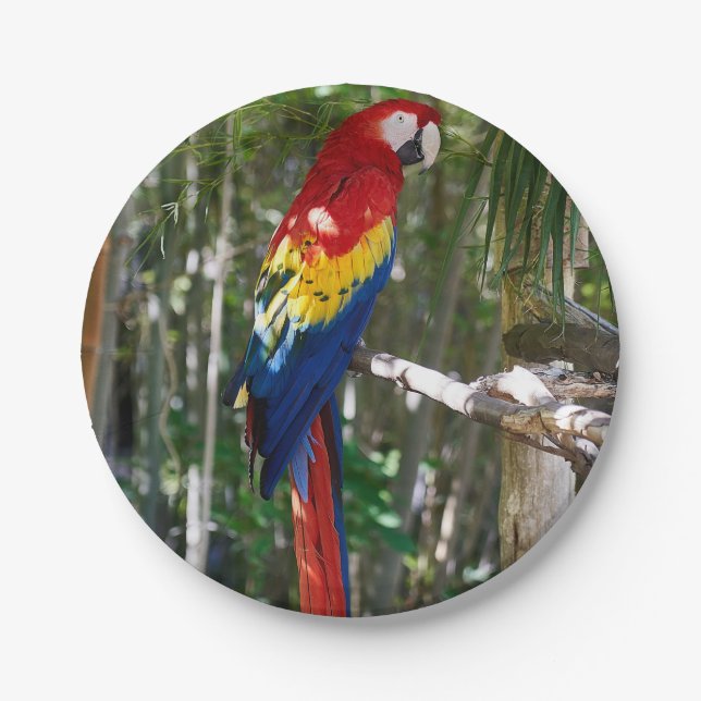 Stunning Scarlet Macaw Parrot Paper Plates (Front)