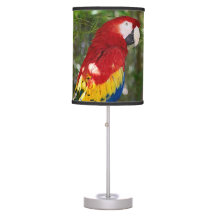 Stunning Scarlet Macaw Parrot