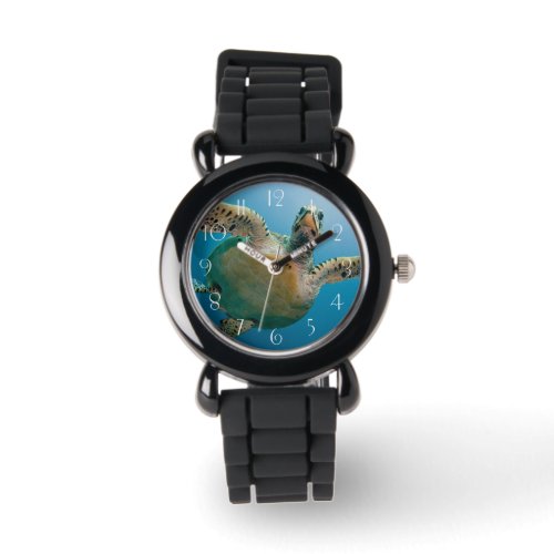 Stunning sea turtle watch