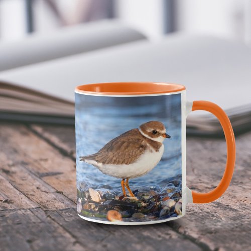 Stunning Semipalmated Plover Shorebird the Beach Mug