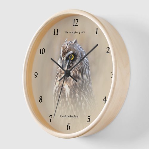 Stunning Short_Eared Owl in Marshes Clock