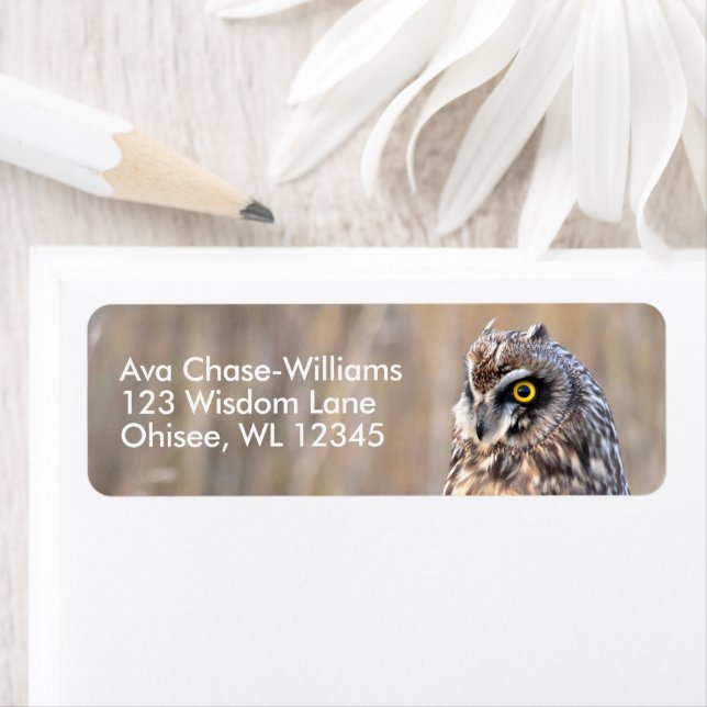 Stunning Short-Eared Owl in the Marshes Label (Insitu)