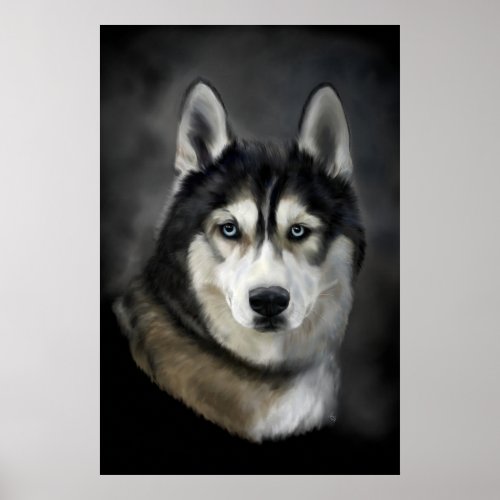 Stunning siberian husky digital painting poster