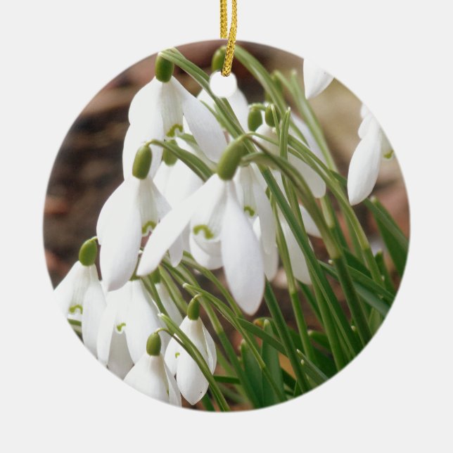 Stunning Snowdrops Ceramic Ornament (Front)