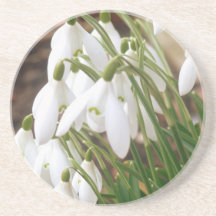 Stunning Snowdrops