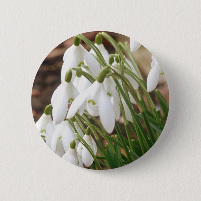 Stunning Snowdrops Pinback Button (Front)
