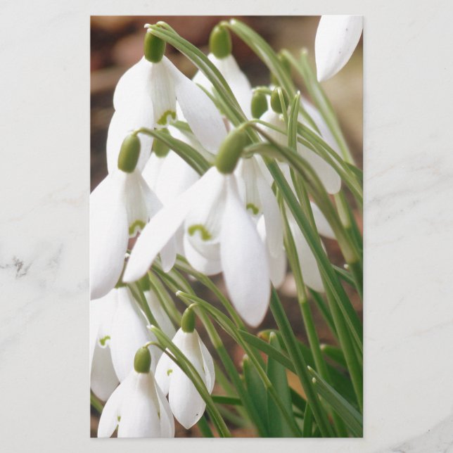 Stunning Snowdrops Stationery (Front)