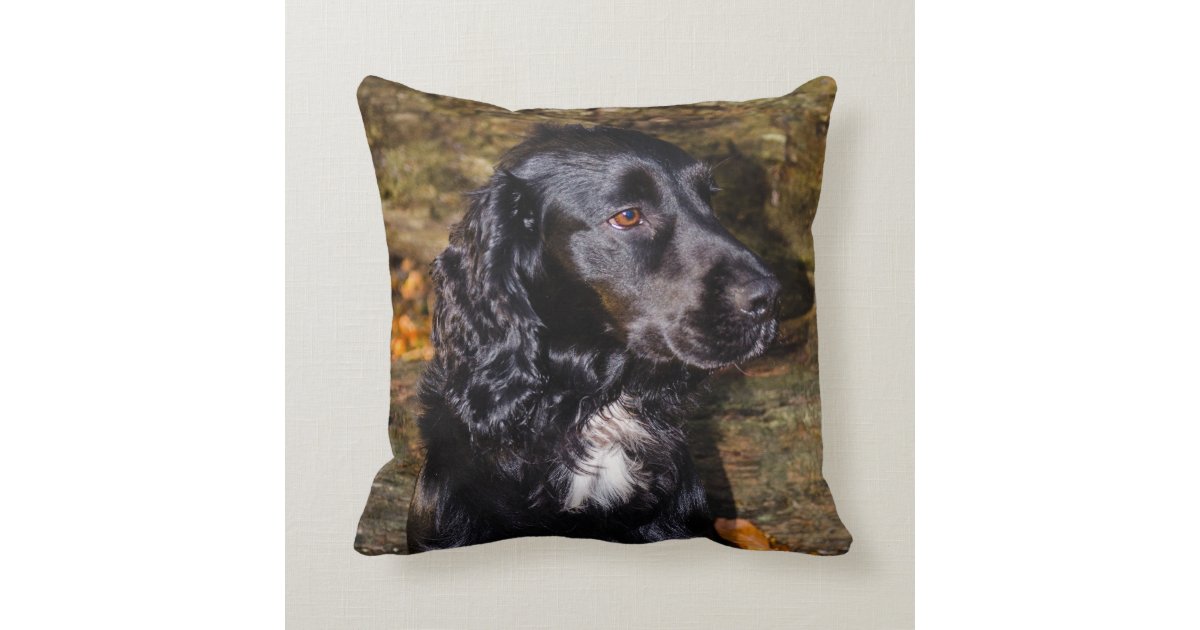 spaniel cushions