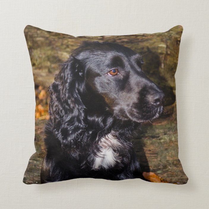 spaniel cushion