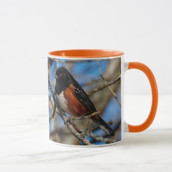 Stunning Spotted Towhee Songbird on Branch Mug