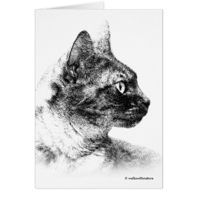 Stunning Stella the Gray Cat One Fine Feline Cards (Front)