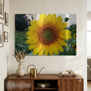 Stunning Sunflower Metal Wall Decor 36x24 Size