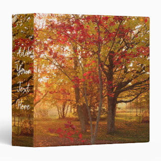 Stunning sunrise through fall maple forest 3 ring binder