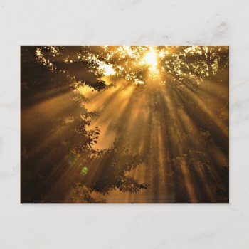 Stunning Sunset Photo With Crazy Sunbeams Postcard by Vanillaextinctions at Zazzle