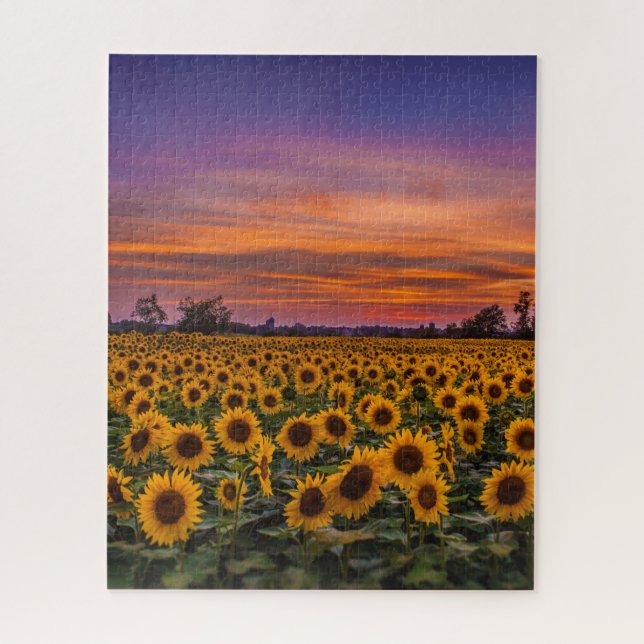 Stunning Sunset Puzzle (Vertical)