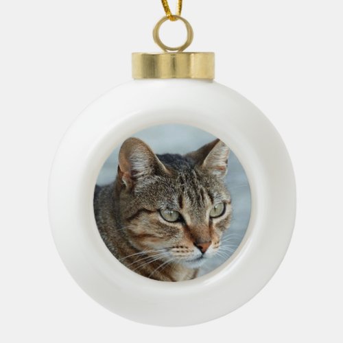 Stunning Tabby Cat Close Up Portrait Ceramic Ball Christmas Ornament