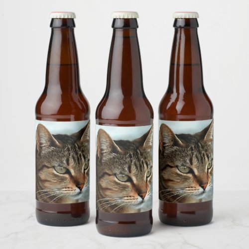 Stunning Tabby Cat CloseUp Artistic Portrait Beer Bottle Label