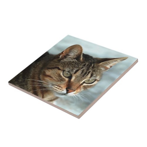 Stunning Tabby Cat CloseUp Artistic Portrait Ceramic Tile