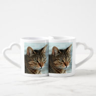 Stunning Tabby Cat CloseUp Artistic Portrait Coffee Mug Set
