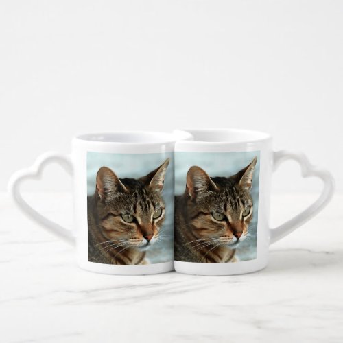 Stunning Tabby Cat CloseUp Artistic Portrait Coffee Mug Set