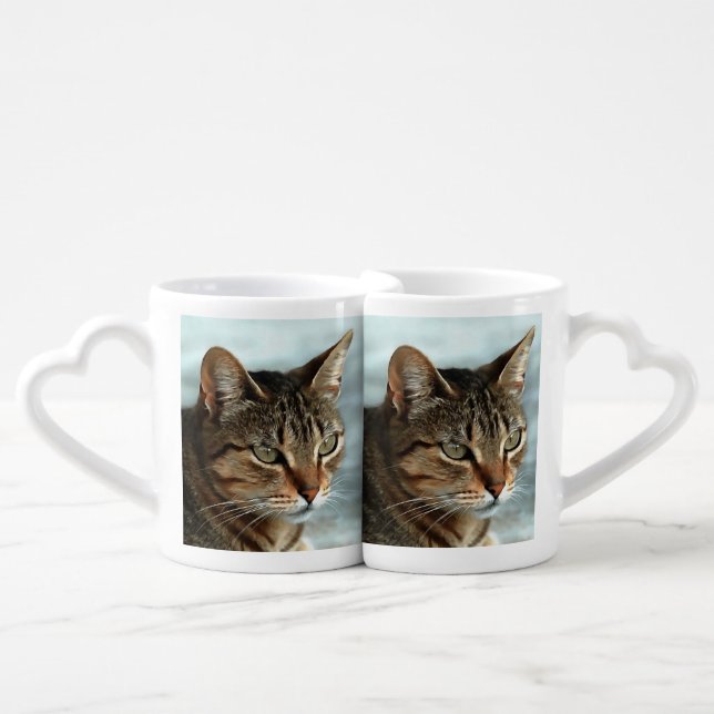 Stunning Tabby Cat CloseUp Artistic Portrait Coffee Mug Set (Front Nesting)