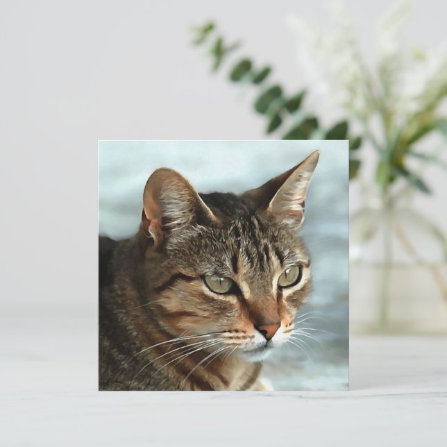 Stunning Tabby Cat CloseUp Artistic Portrait Holiday Card (Standing Front)