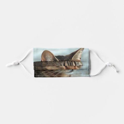 Stunning Tabby Cat CloseUp Artistic Portrait Kids Cloth Face Mask