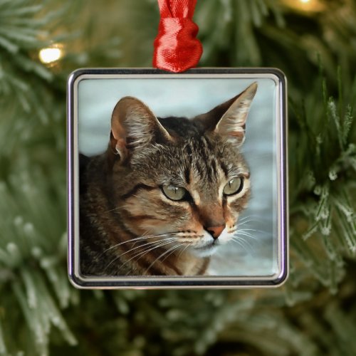 Stunning Tabby Cat CloseUp Artistic Portrait Metal Ornament