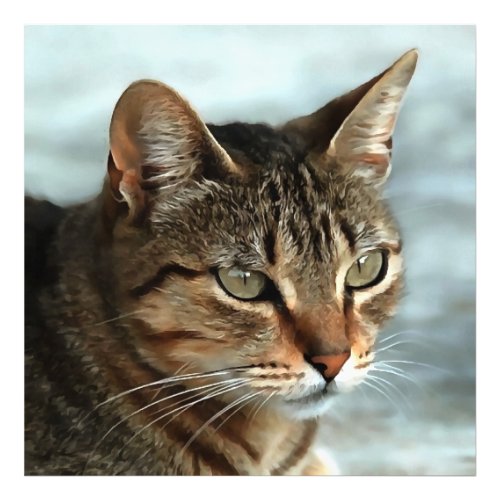 Stunning Tabby Cat CloseUp Artistic Portrait Photo Print