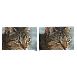 Stunning Tabby Cat CloseUp Artistic Portrait Pillow Case