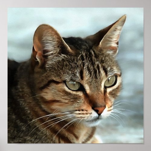 Stunning Tabby Cat CloseUp Artistic Portrait Poster