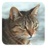 Stunning Tabby Cat CloseUp Artistic Portrait Square Sticker