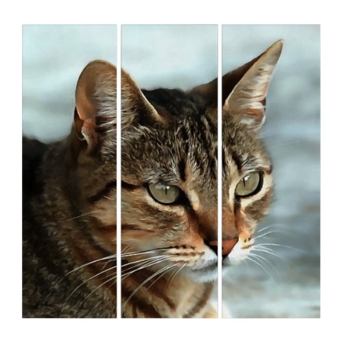 Stunning Tabby Cat CloseUp Artistic Portrait Triptych