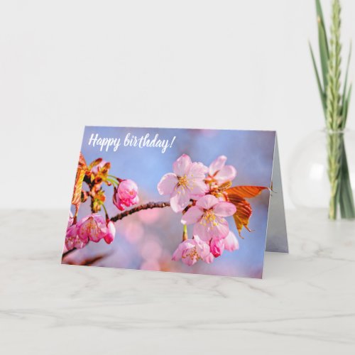 Stunning Tenderness Of Sakura Flowers In Spring Card