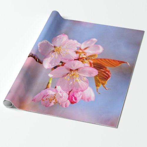 Stunning Tenderness Of Sakura Flowers Wrapping Paper