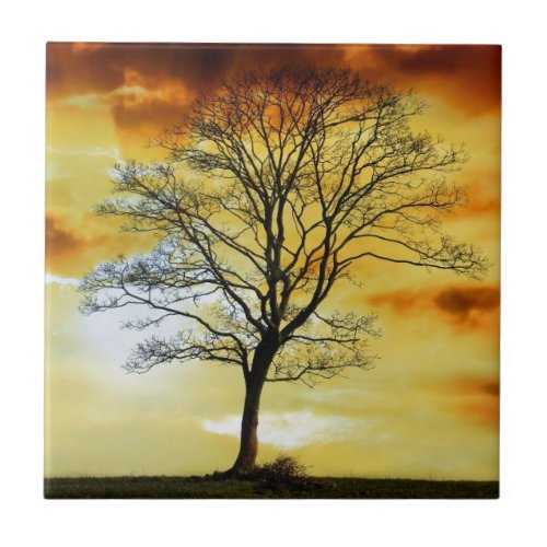 Stunning Tree sunset nature scenery photo prints Ceramic Tile