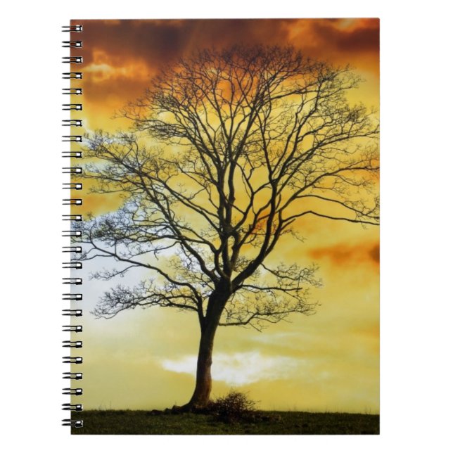 Stunning Tree, sunset nature scenery photo prints Notebook (Front)