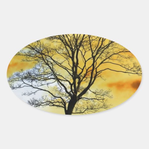 Stunning Tree sunset nature scenery photo prints Oval Sticker